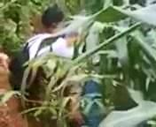 Bokep Ngintip Ngintip Abg Di Kebun Singkong